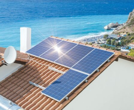 sustainable trends