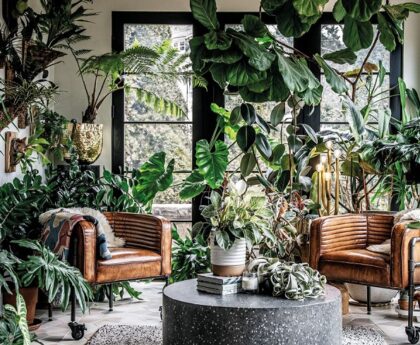 Indoor Gardening Tips