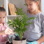 Indoor Gardening Projects for Kids