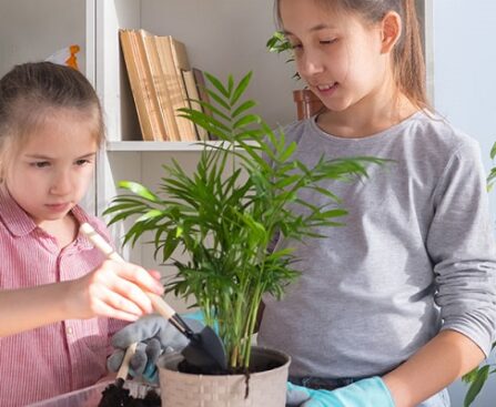 Indoor Gardening Projects for Kids
