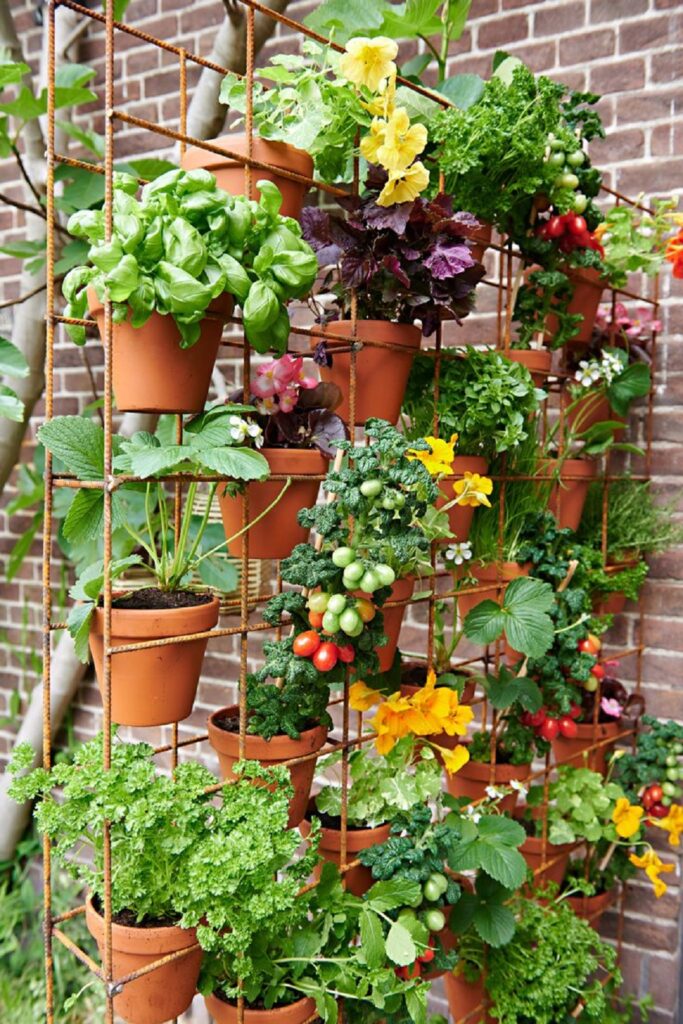 Thriving Balcony Herb Garden