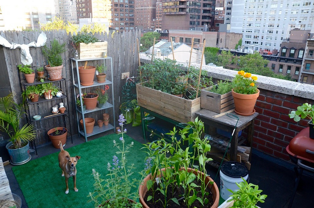 To design a balcony garden
