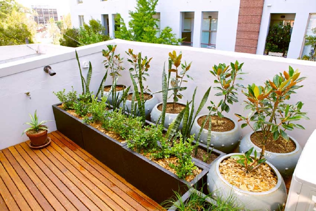 To design a balcony garden