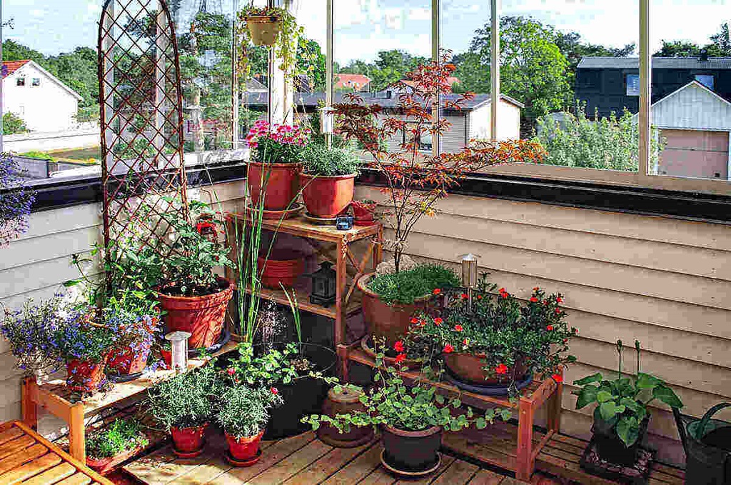 Thriving Balcony Herb Garden