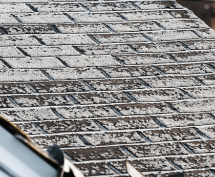 Granular Loss on Roof