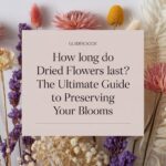 Illustration of dried flowers in various stages of preservation with the text 'How Long Do Dried Flowers Last? The Ultimate Guide to Preserving Your Blooms' overlayed.