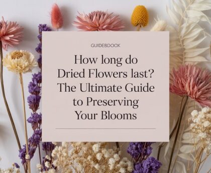 Illustration of dried flowers in various stages of preservation with the text 'How Long Do Dried Flowers Last? The Ultimate Guide to Preserving Your Blooms' overlayed.