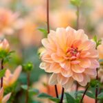 How to pair ‘Peach Fuzz’ with other colors