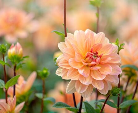 How to pair ‘Peach Fuzz’ with other colors