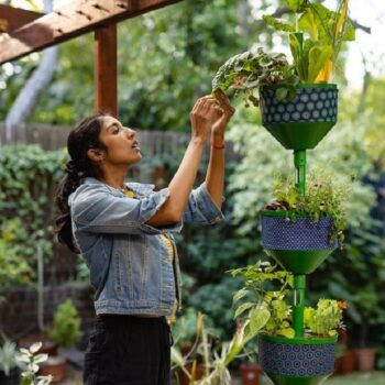 How do I deal with pests in urban container gardens