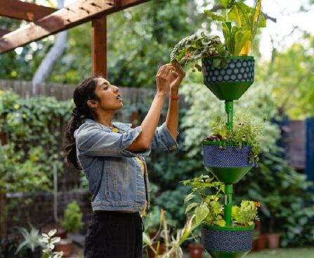 How do I deal with pests in urban container gardens