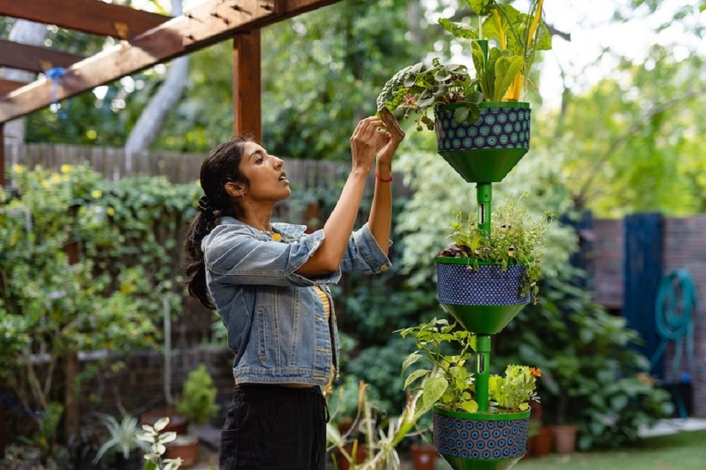 How do I deal with pests in urban container gardens