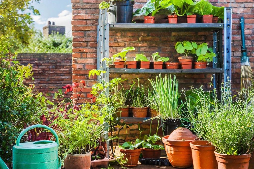 Is rooftop gardening expensive to start