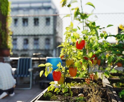 Can I start an urban garden without a backyard