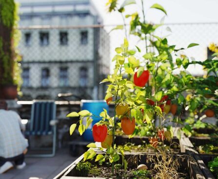Can I start an urban garden without a backyard