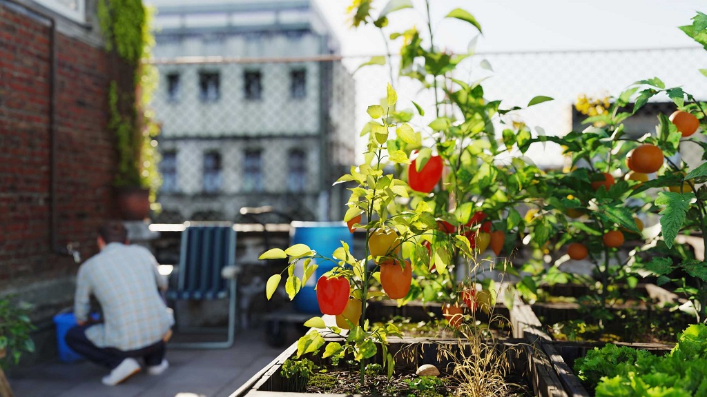 Can I start an urban garden without a backyard
