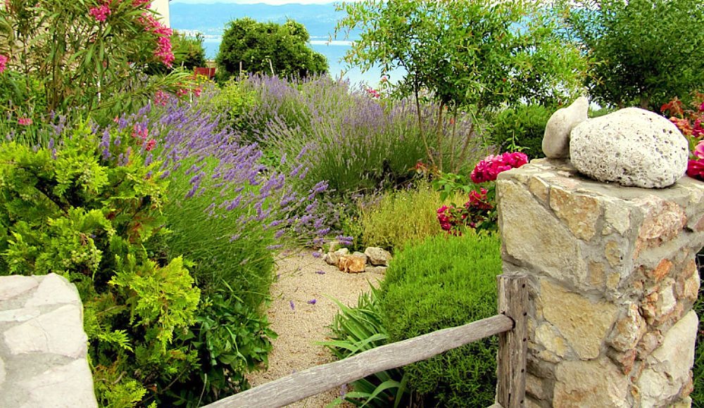 How do I convert my lawn to a meadow