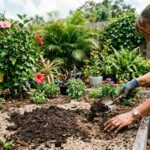 Gardener mixing dark compost into sandy Florida garden soil.
